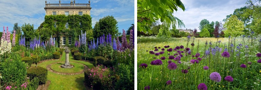Wildflower meadow + house